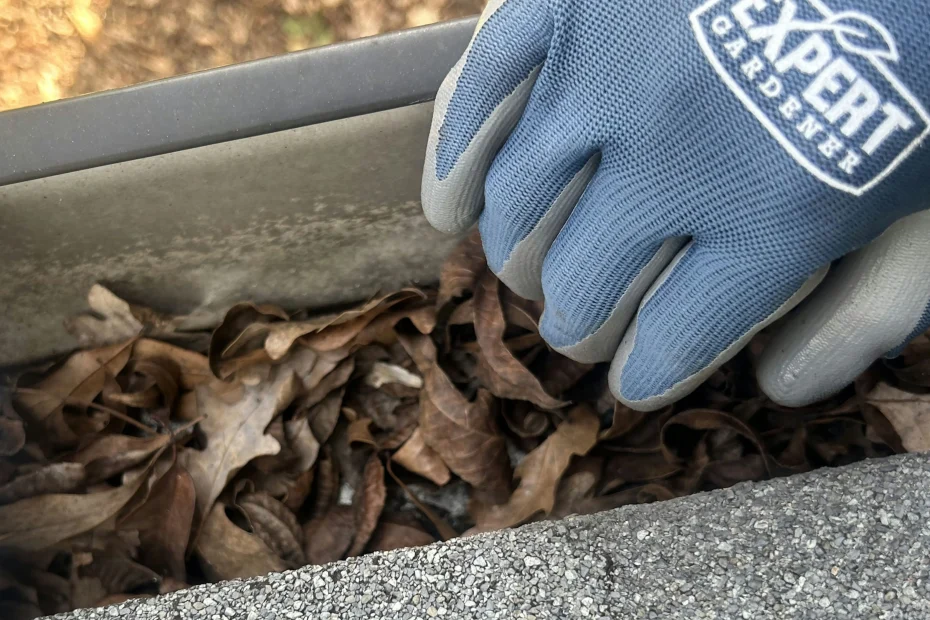 Gutter Cleaning Tysons