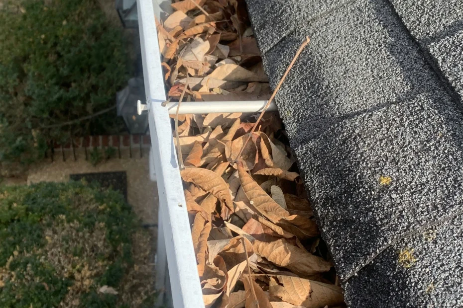 Gutter Cleaning Tysons