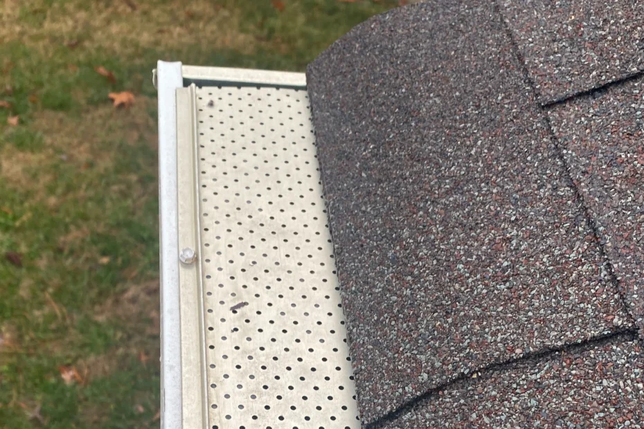 Gutter Cleaning Tysons